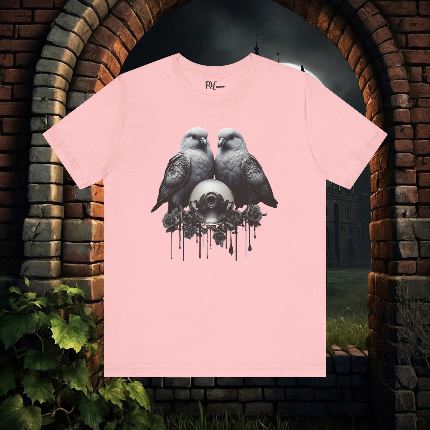 Two Birds with Orb (Bella Canvas 3001)